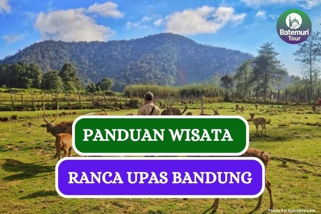 Panduan Lengkap Wisata Keluarga di Ranca Upas Bandung